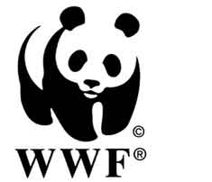 wwf